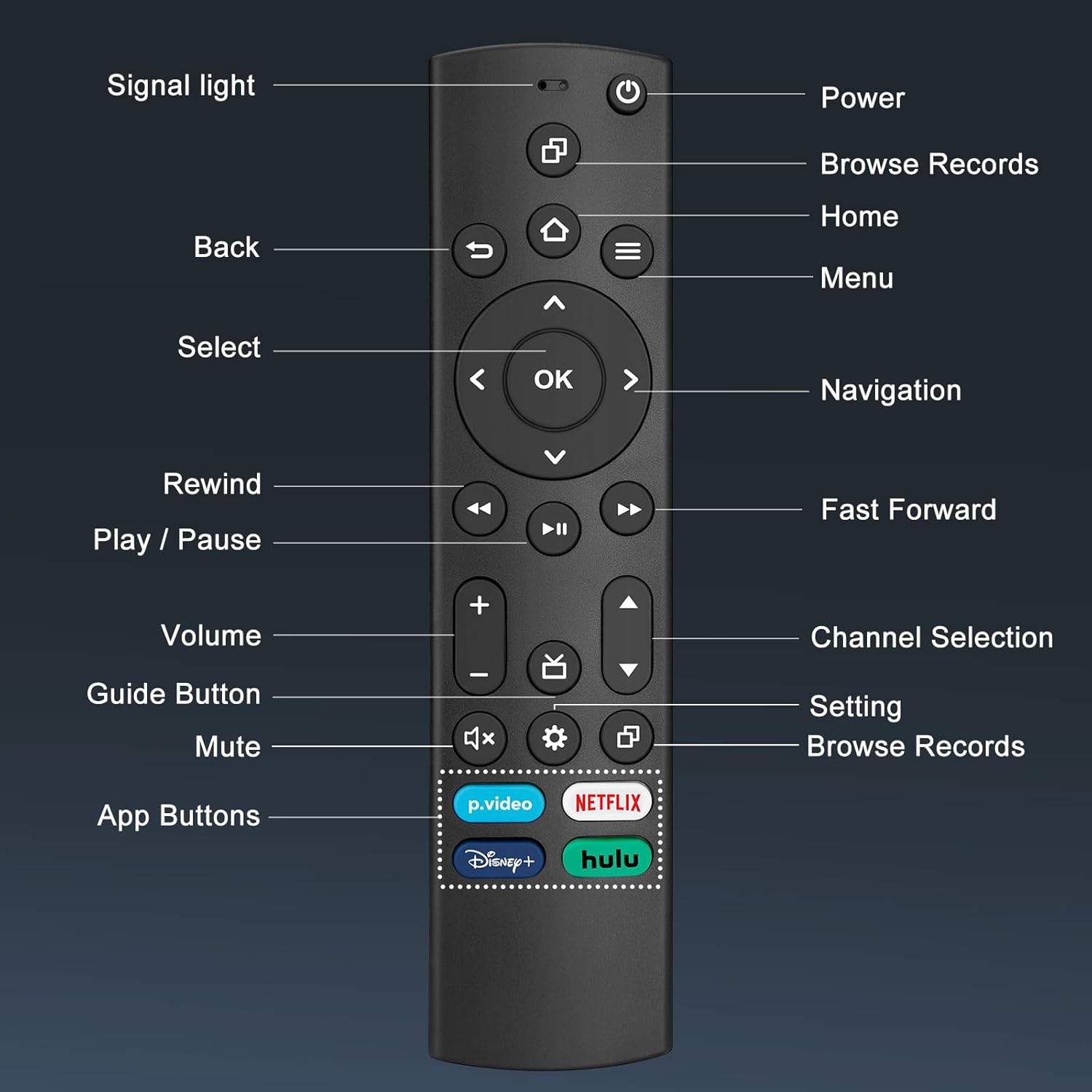 Universal TV Remote (All Models)
