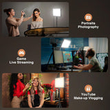 2-Pack studio Photography Lighting Kit